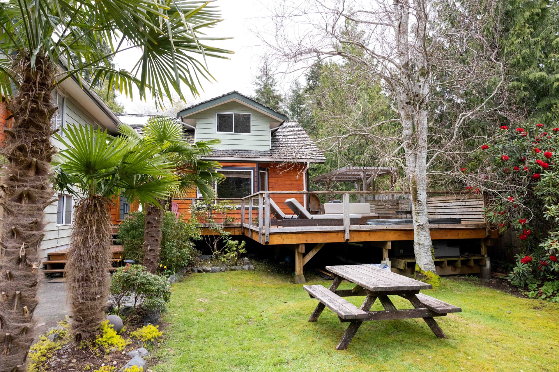 Garden and play area