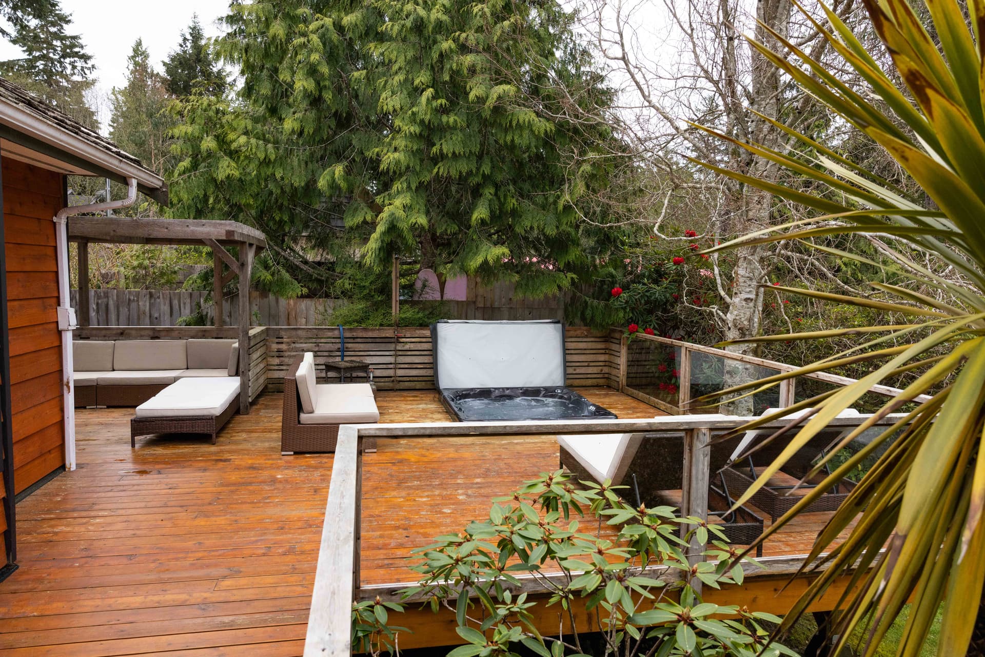 House with rainforest backdrop