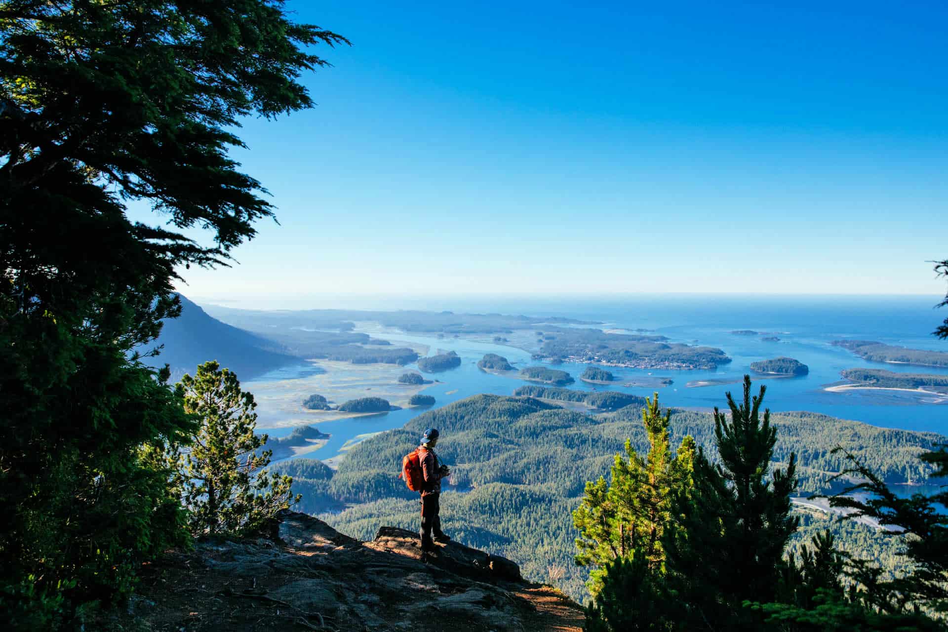 Old-growth rainforest trail in Pacific Rim National Park between Tofino and Ucluelet BC