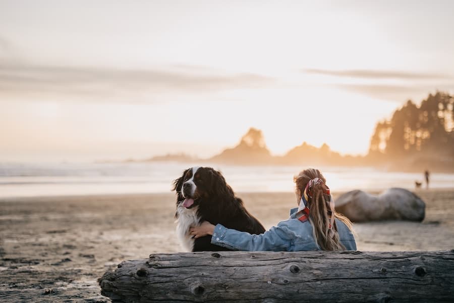 Tofino BC coastline — knowing what to pack makes the trip