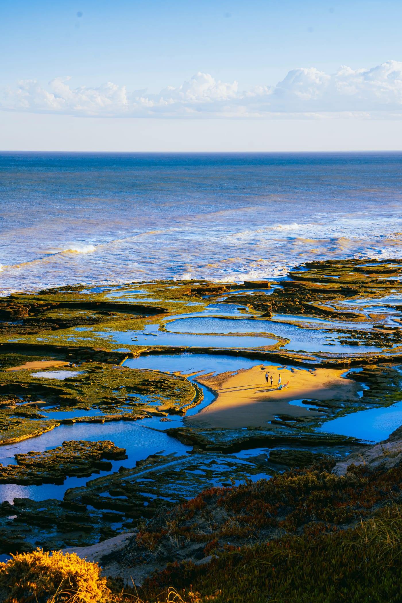 Rocky tidepools at Long Beach Tofino filled with marine life at low tide