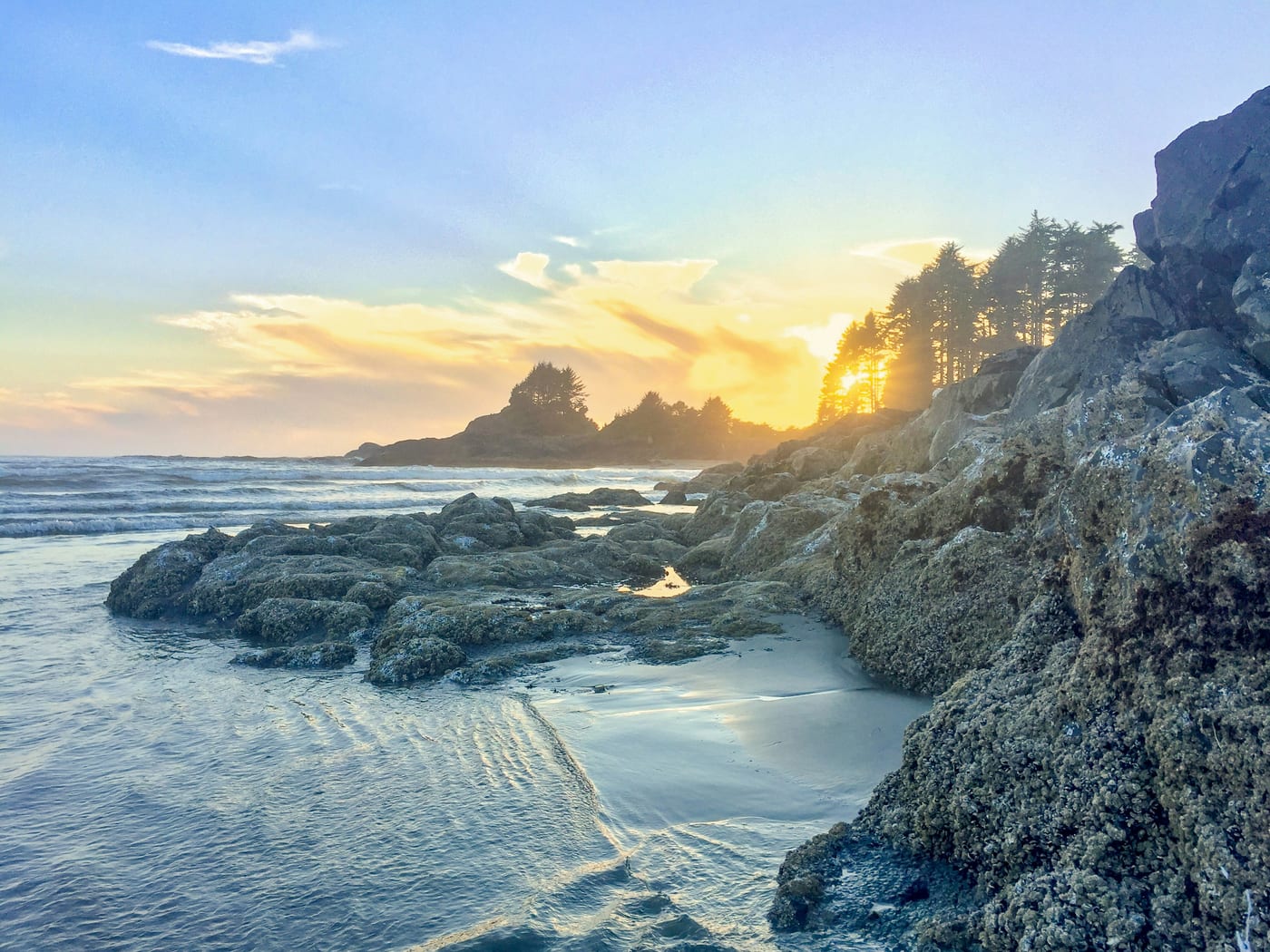 Tofino BC ocean and coastline view — backdrop to the town's dining scene