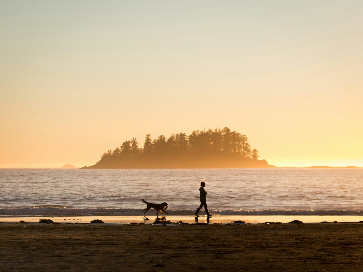 Golden sunset over Tofino beach in summer